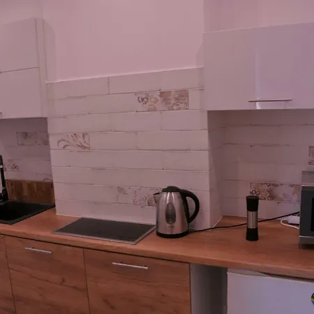 アパート Centrum スウプスク